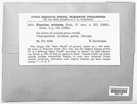 Image Associated With the Occurence